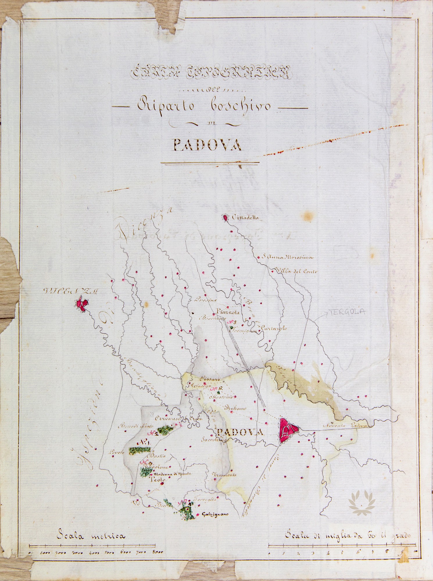 Carta Topografica del Riparto boschivo Padova